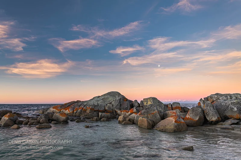 homepage photograph. D700. 80mm.