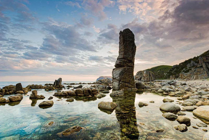 homepage photograph. D750. 110mm.