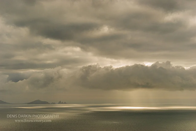 homepage photograph. D750. 150mm.