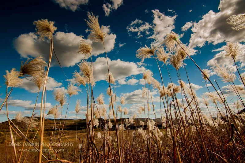 homepage photograph. D600. 17mm.