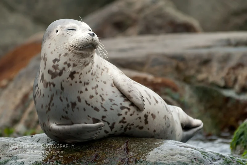 homepage photograph. D200. 12mm.