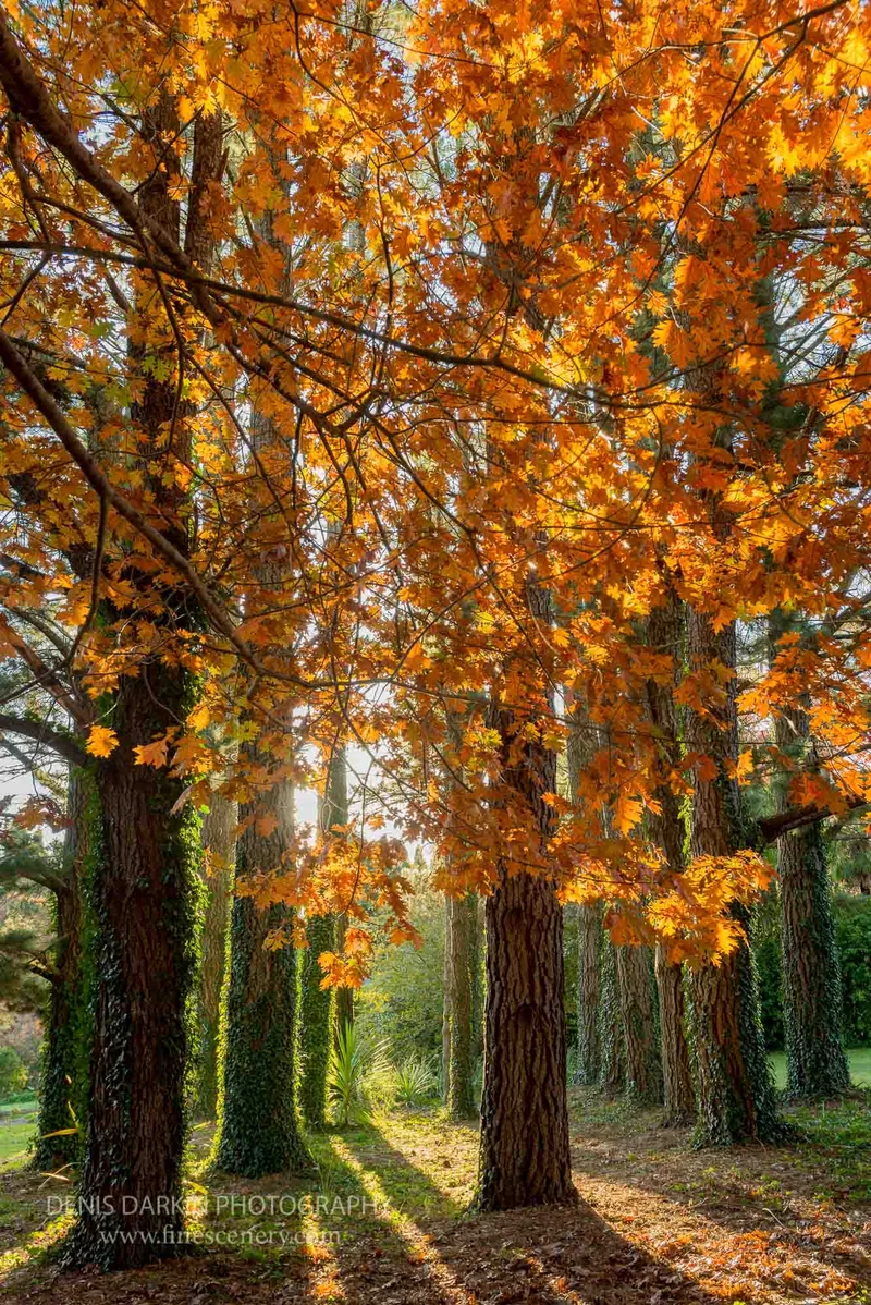 homepage photograph. D600. 17mm.