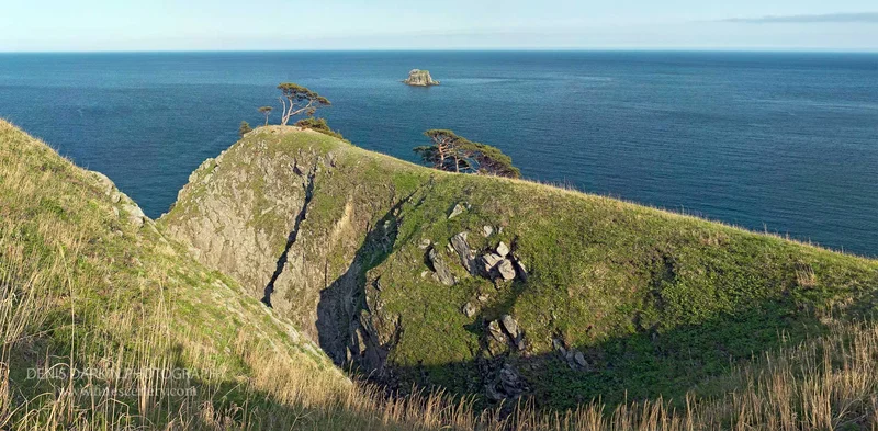 panoramic photograph. DIGITAL. 76mm.