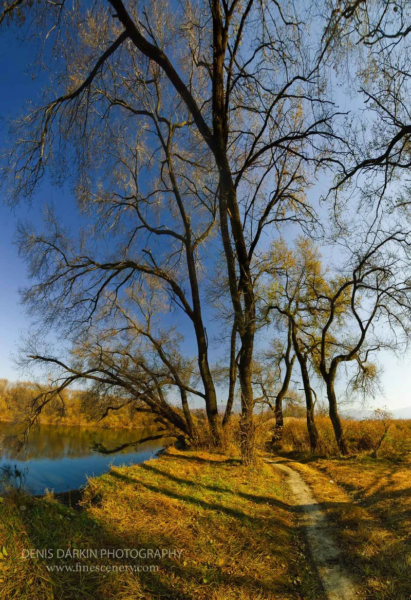 panoramic photograph. D200. 12mm.