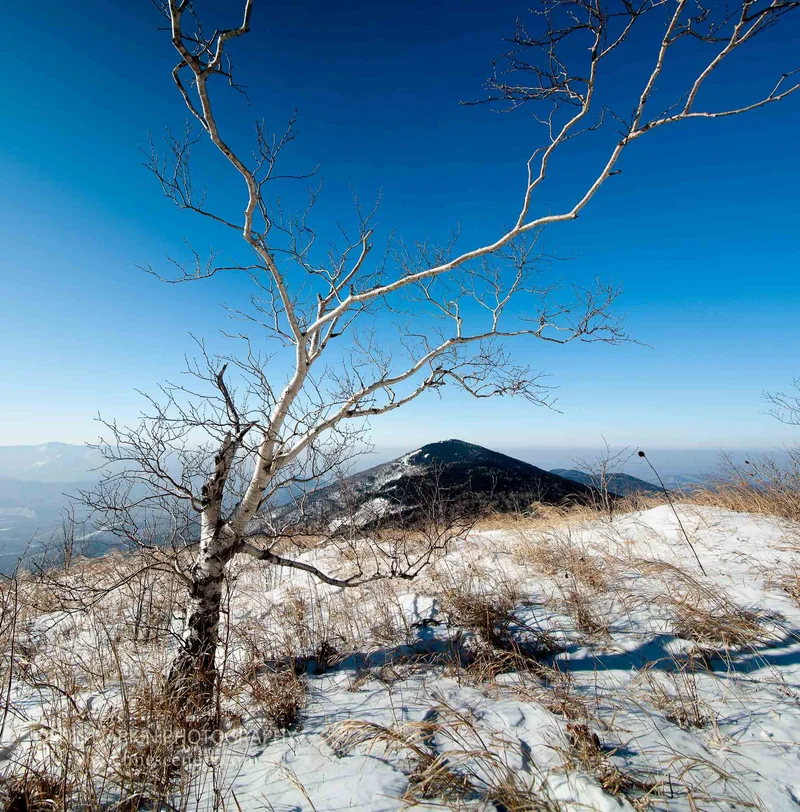 panoramic photograph. D200. 12mm.