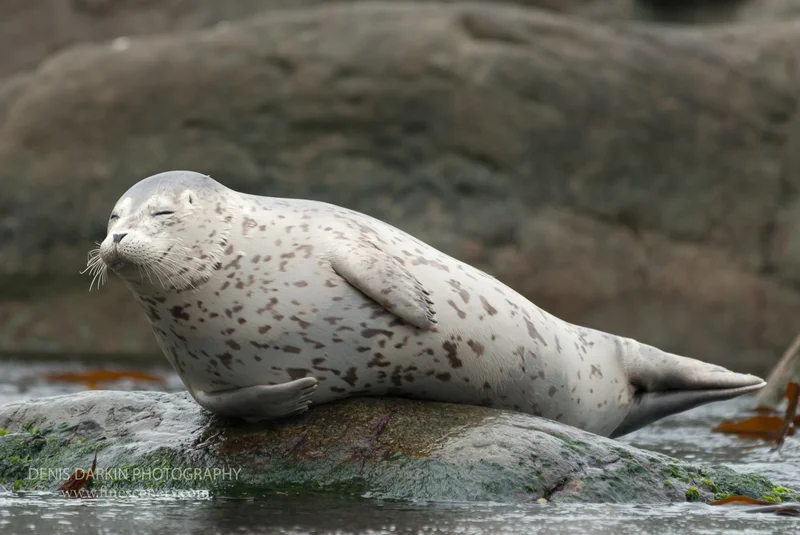 nature photograph. D200. 17mm.