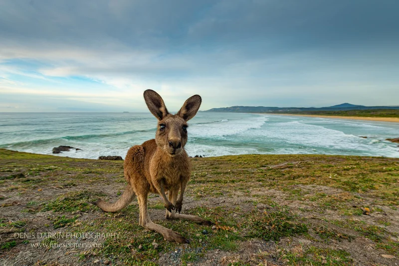 nature photograph. D800E. 24mm.