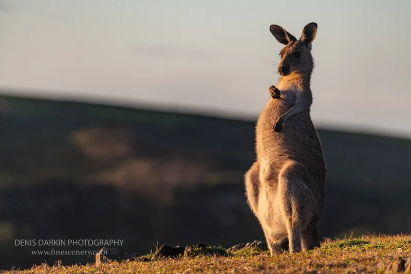 nature photograph. D800E. 14mm.