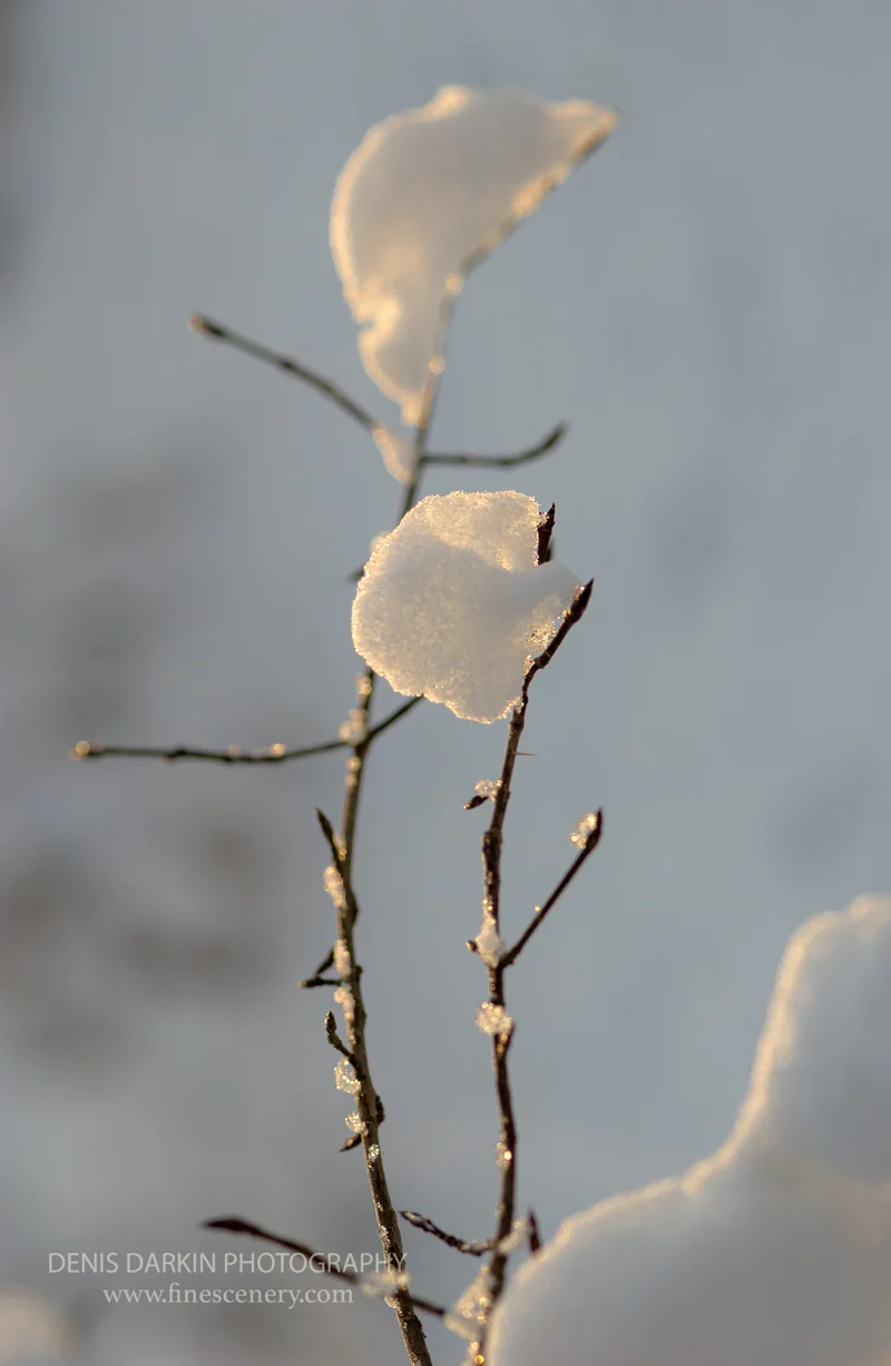 abstracts photograph. D600. 50mm.