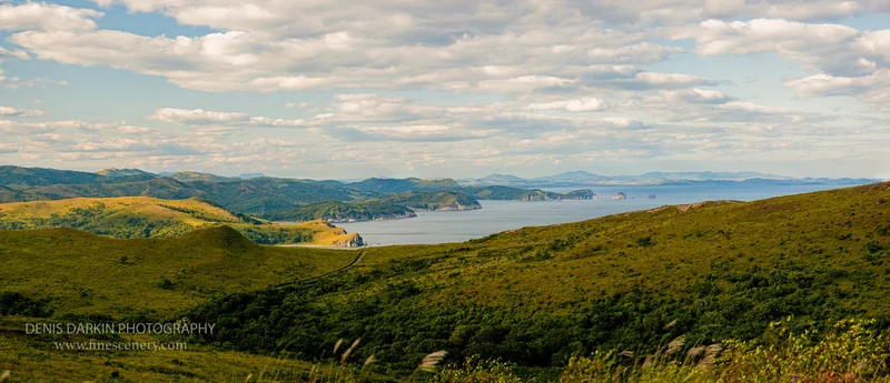 panoramic photograph. D1X.