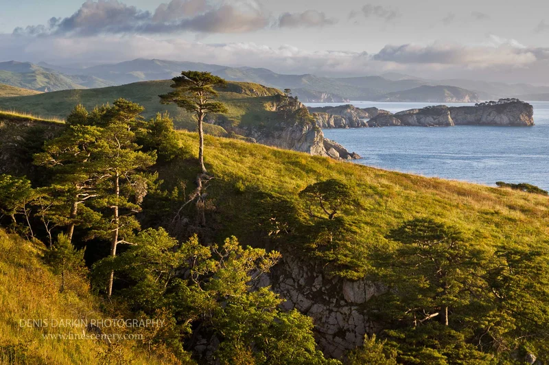 far-east-marine-reserve photograph. D600. 92mm.