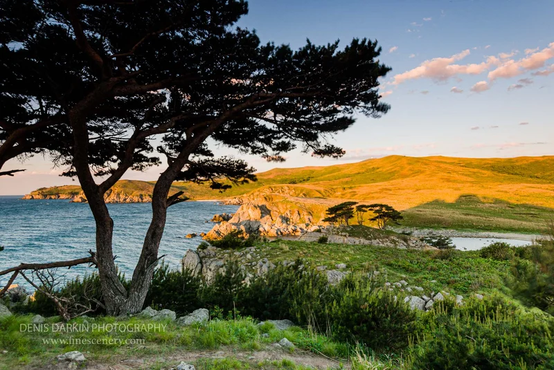 far-east-marine-reserve photograph. D200. 12mm.