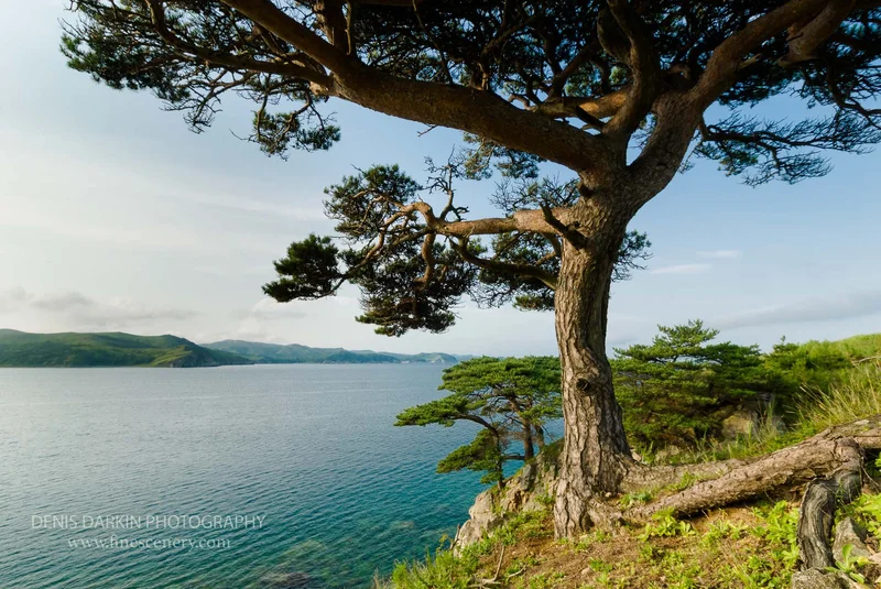 far-east-marine-reserve photograph. D200. 17mm.