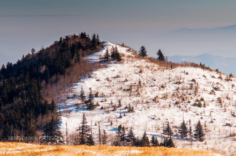 seasons photograph. D810. 24mm.