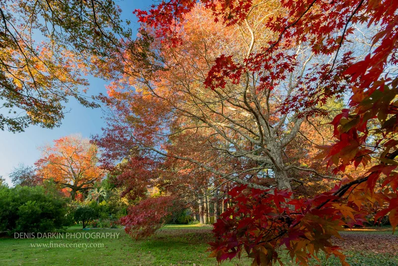 seasons photograph. D800E. 14mm.