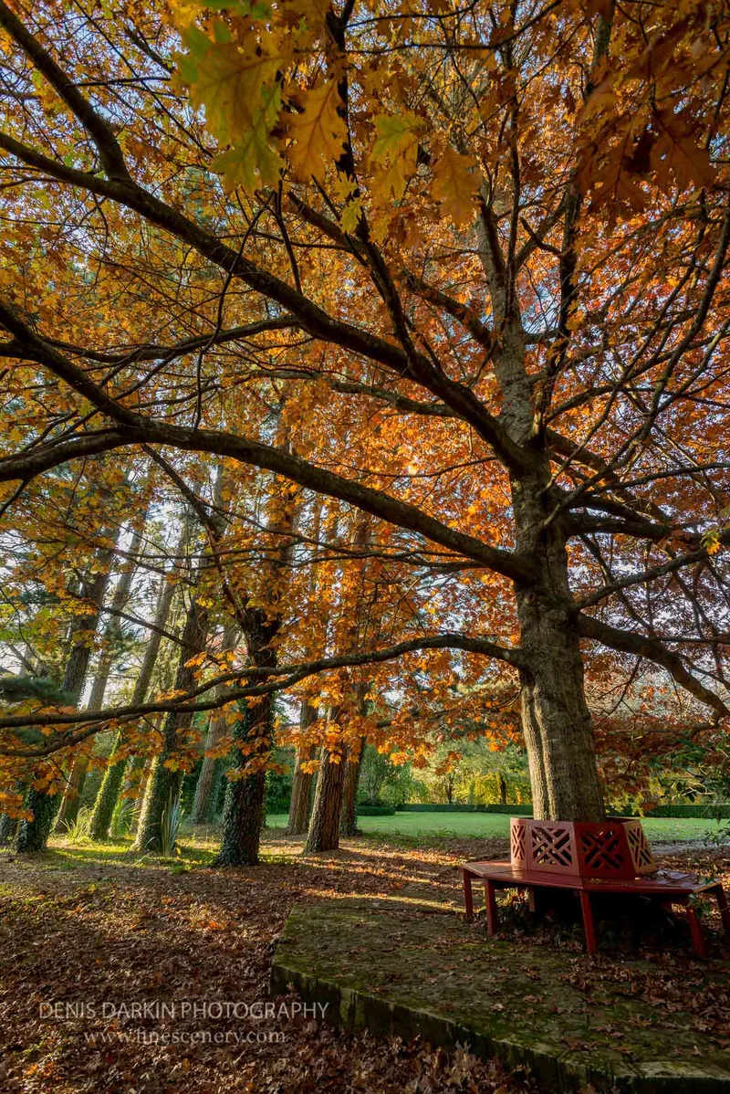 seasons photograph. D200. 14mm.