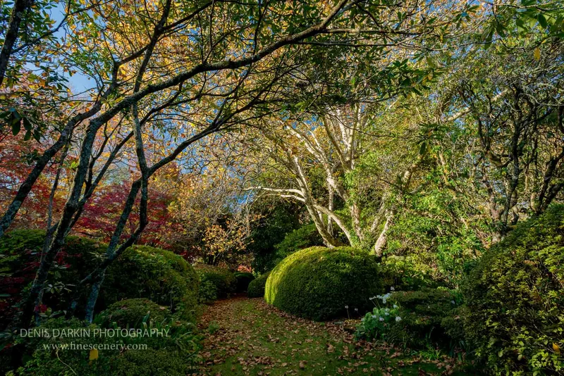 seasons photograph. D800E. 24mm.