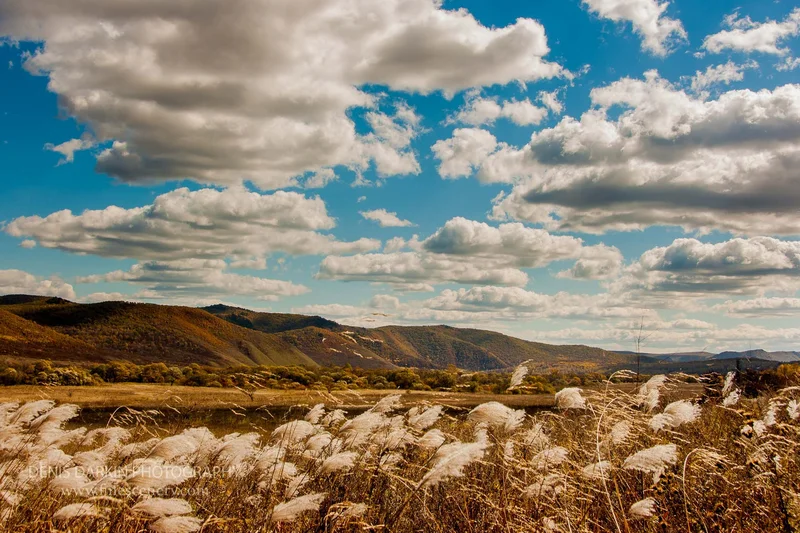 seasons photograph. D810. 24mm.