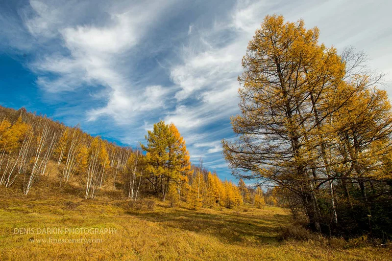 seasons photograph. D800E. 14mm.
