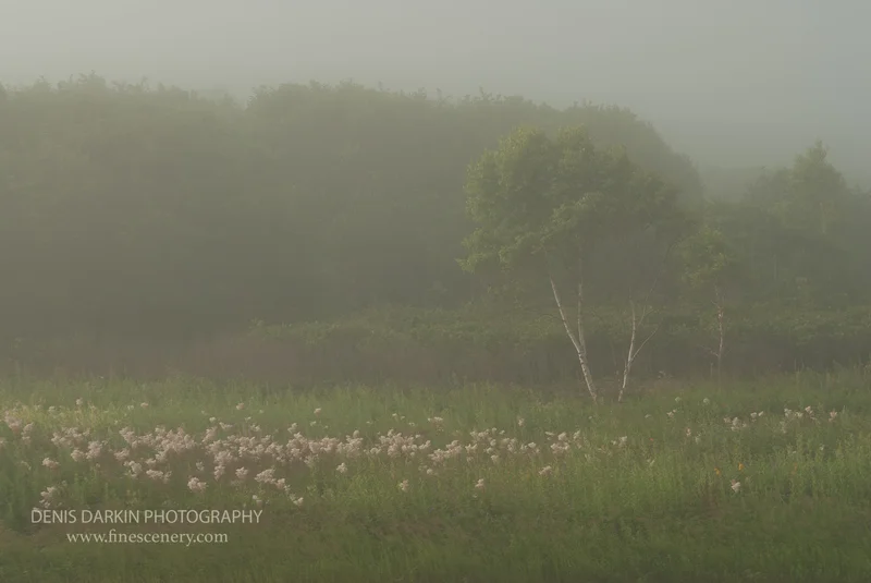 seasons photograph. D810. 34mm.