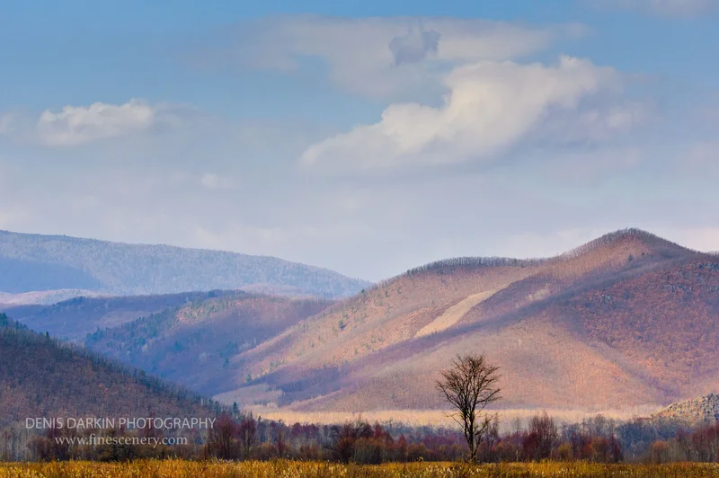 seasons photograph. D810. 70mm.