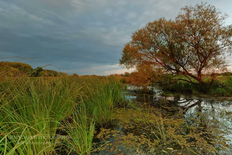rivers photograph. D200. 18mm.