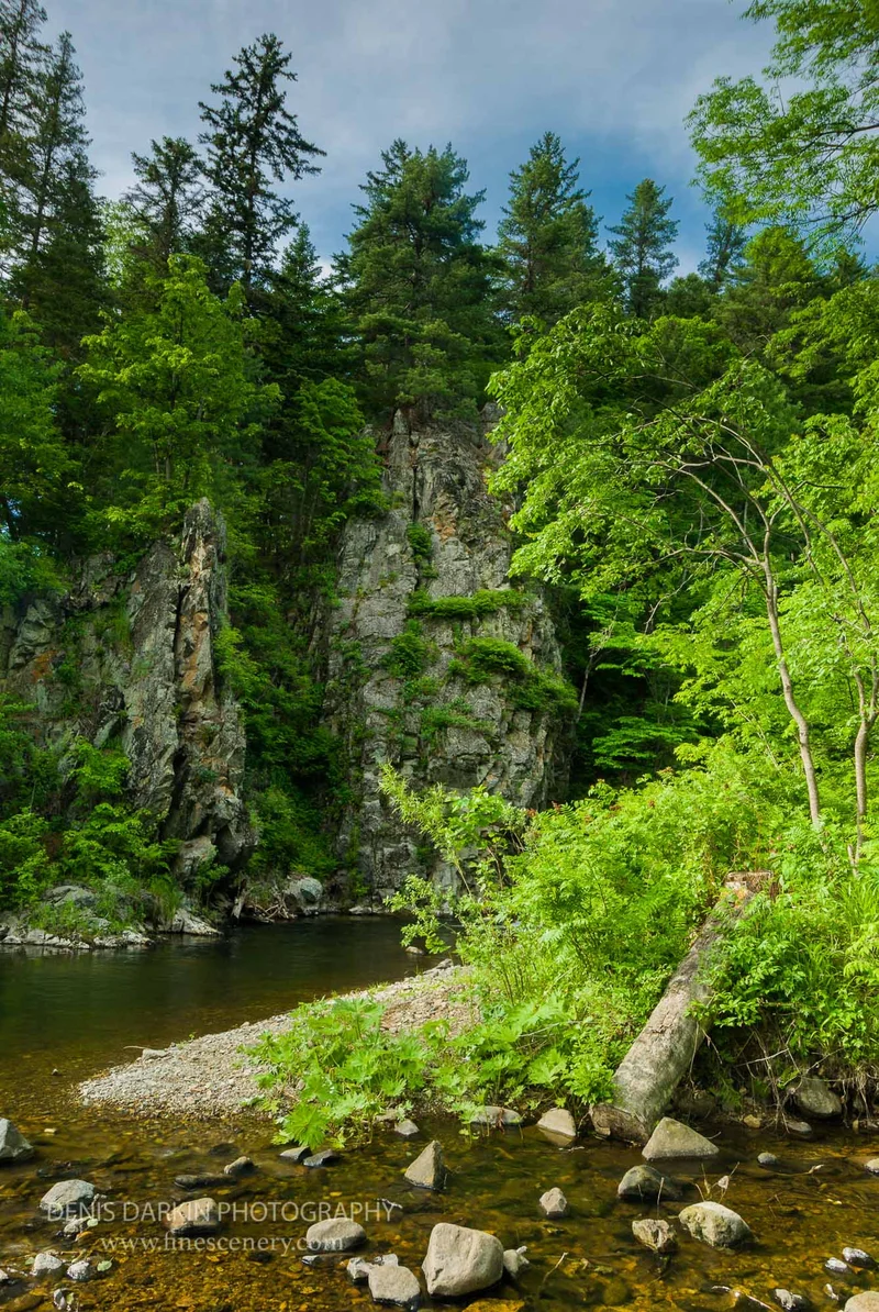 rivers photograph. D200. 15mm.