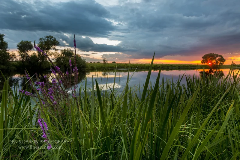 rivers photograph. D700. 86mm.