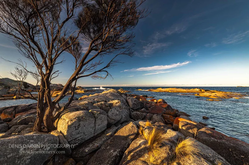 homepage photograph. D800E. 14mm.