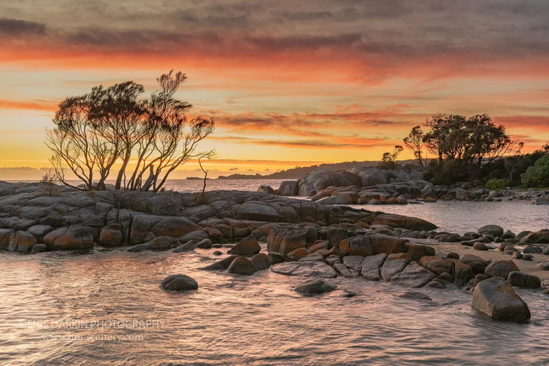 homepage photograph. D800E. 14mm.