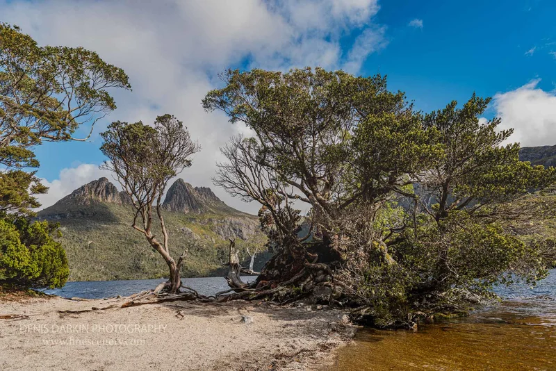 tasmania photograph. D850. 14mm.