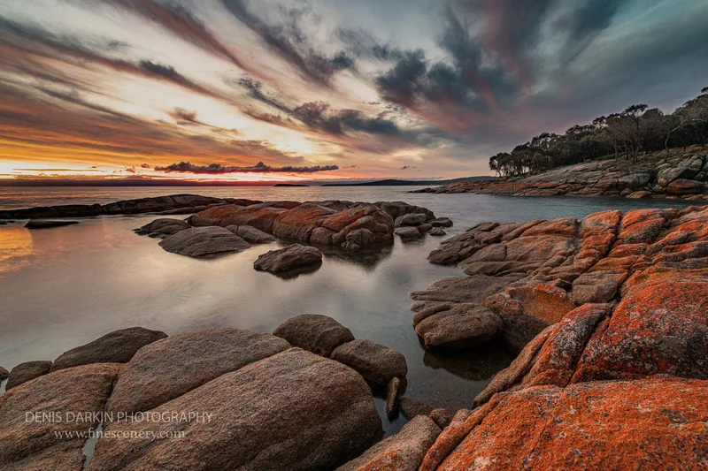 tasmania photograph. D810. 70mm.