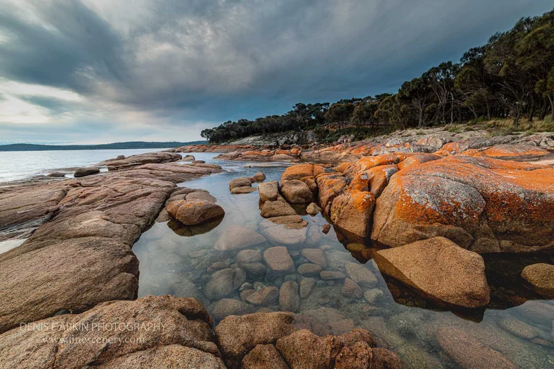 tasmania photograph. D810. 44mm.