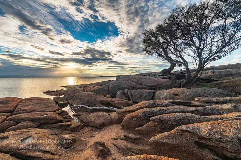 tasmania photograph. D850. 14mm.