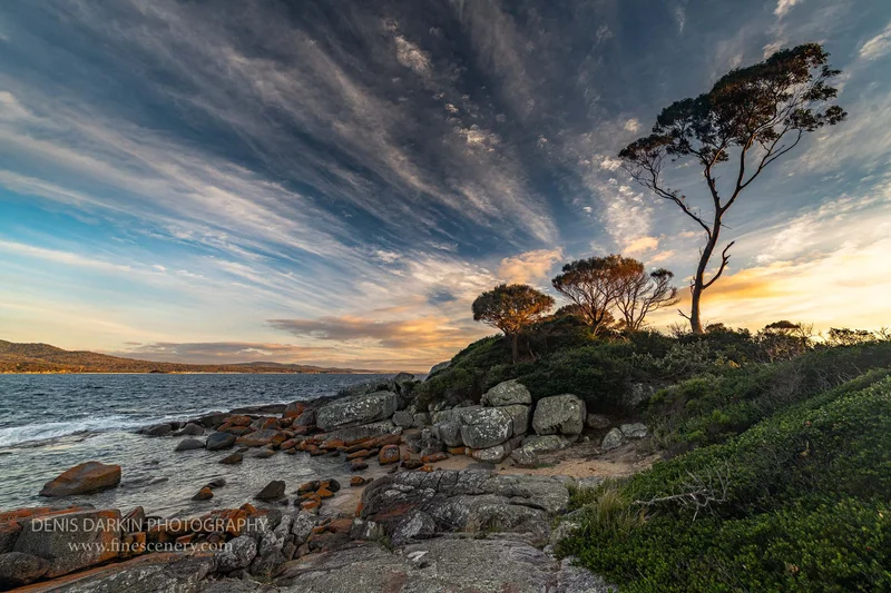 tasmania photograph. D850. 14mm.