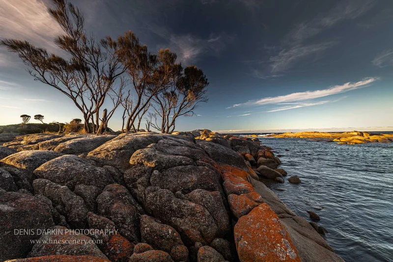 tasmania photograph. D850. 14mm.