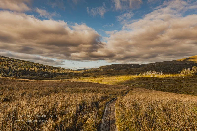 tasmania photograph. D850. 102mm.