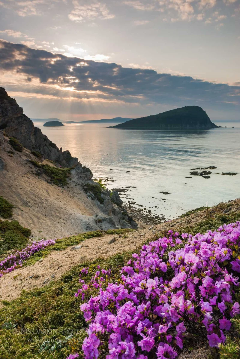 lazovsky-reserve photograph. D200. 12mm.