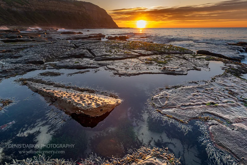 new-south-whales photograph. D750. 280mm.