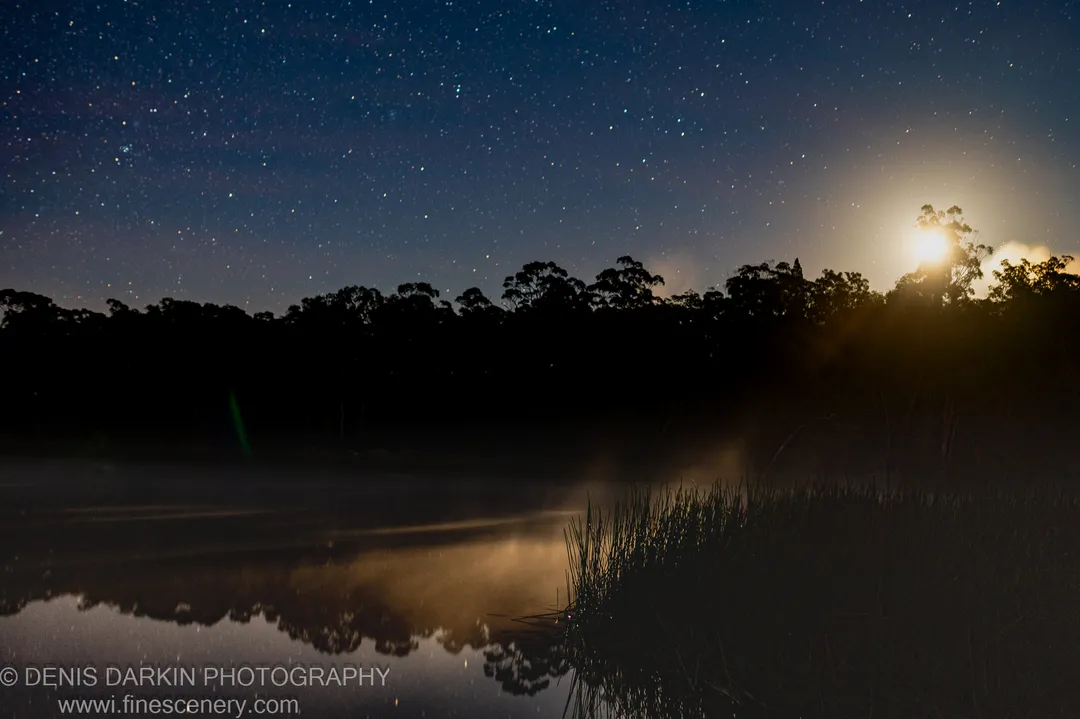 A moonrise over the treeline at Dunns Swamp casts a warm glow on the mist-covered water as stars fill the night sky above.