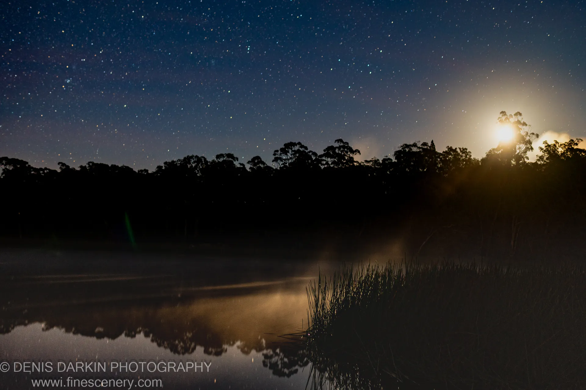 A moonrise over the treeline at Dunns Swamp casts a warm glow on the mist-covered water as stars fill the night sky above.