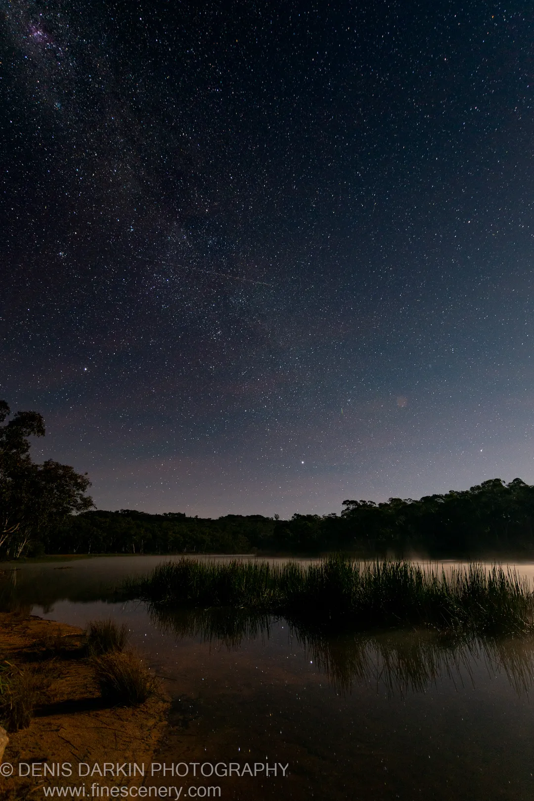 Dunns Swamp at night with a faint Milky Way arc visible above still water that mirrors the stars and reed silhouettes below.