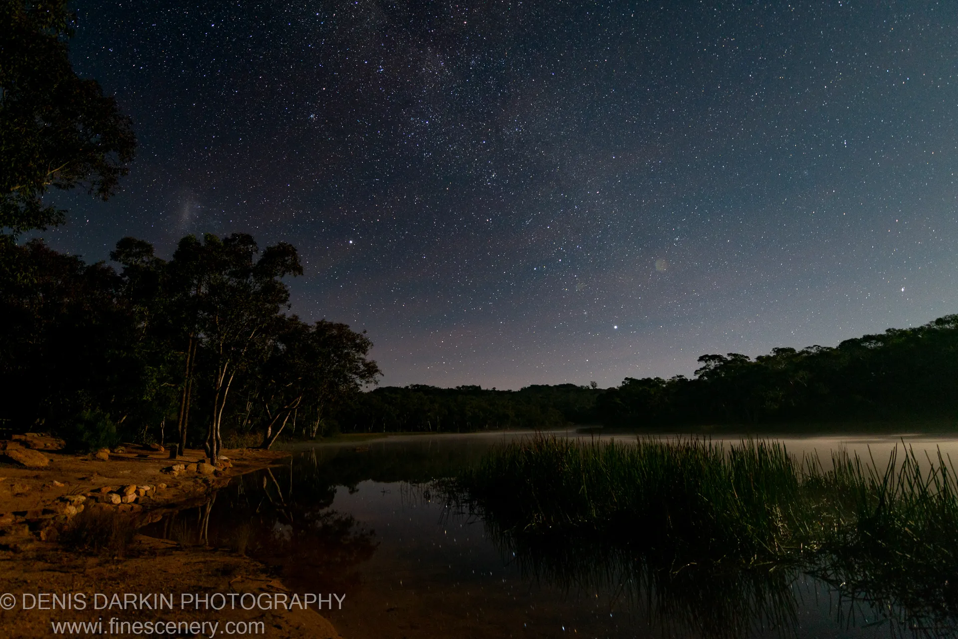 Stars fill the night sky above Dunns Swamp, their reflections visible in the glassy water beside reed grasses and eucalyptus silhouettes.