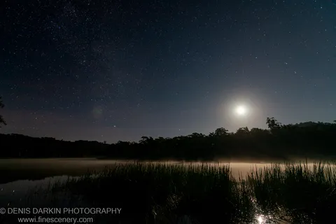 Celestial light reflects on the mist-covered surface of Dunns Swamp at night, reeds silhouetted in the foreground against a deep blue sky.