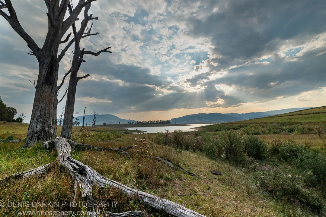 A leafless dead tree in the foreground as crepuscular light breaks through storm clouds above the Lake St Clair valley.