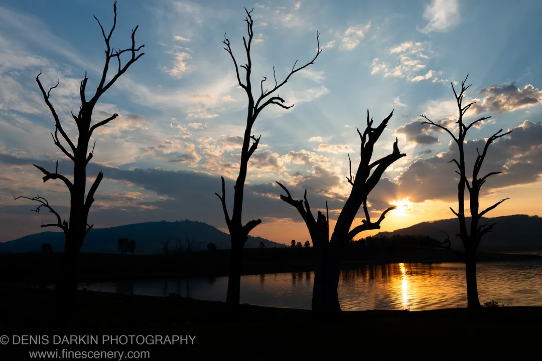 Four bare tree trunks in silhouette against a sunset sunburst, reflected in the still surface of Lake St Clair, New South Wales.
