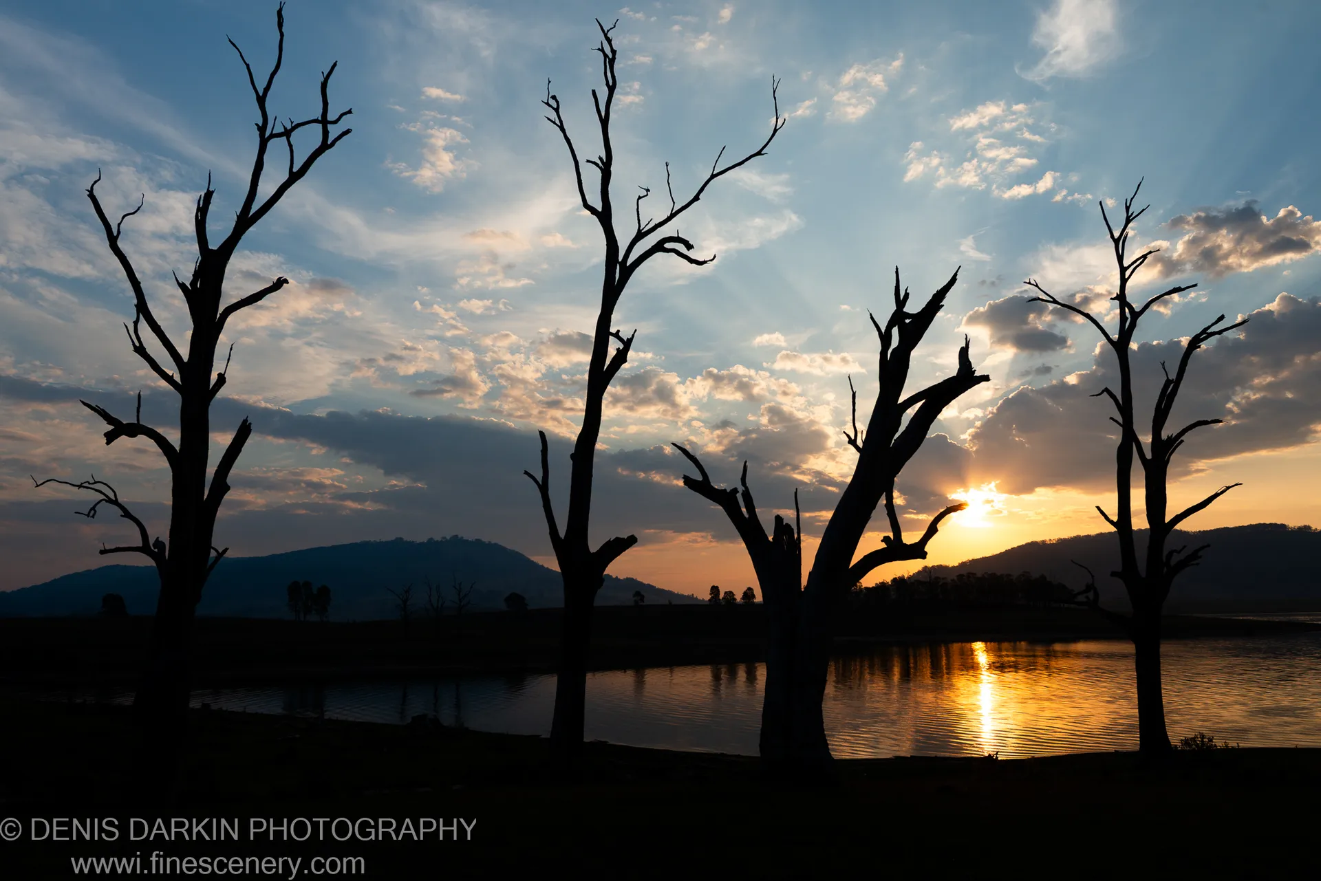 Four bare tree trunks in silhouette against a sunset sunburst, reflected in the still surface of Lake St Clair, New South Wales.