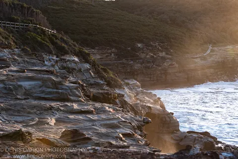 Layered sandstone formations catch warm dawn sidelight at Bouddi National Park, with surf below and coastal scrub along the upper ridge.