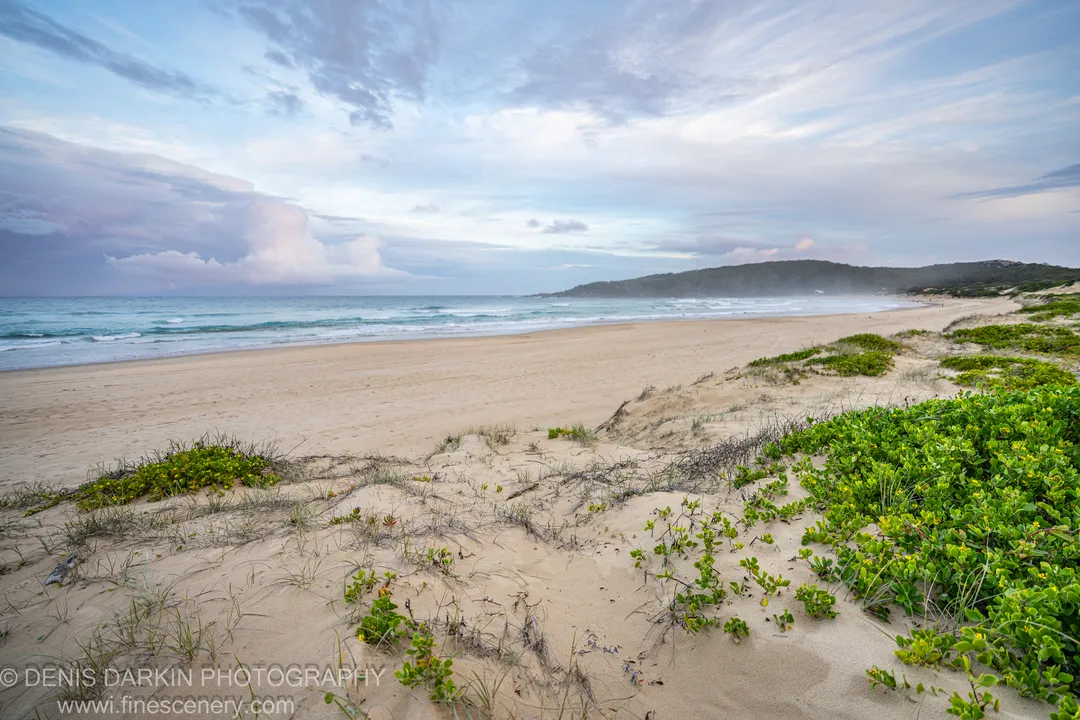A tree-lined headland curves away beyond sand dunes and gentle white-capped rollers under a streaked pink afternoon sky at One Mile Beach.