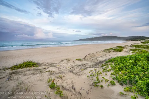 A tree-lined headland curves away beyond sand dunes and gentle white-capped rollers under a streaked pink afternoon sky at One Mile Beach.